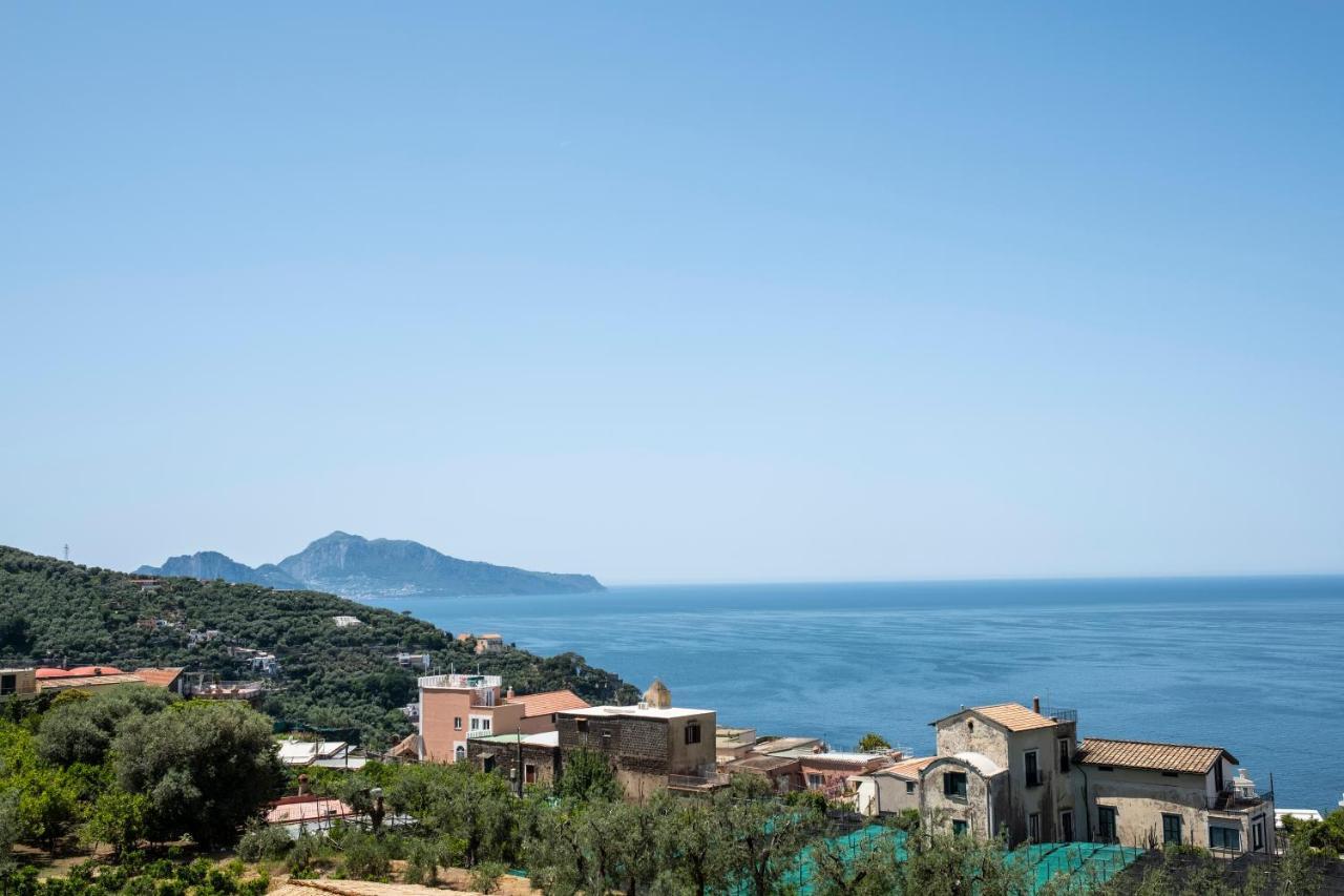 Neva Suites Massa Lubrense Sorrento Coast Екстериор снимка