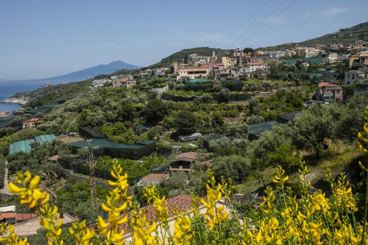 Neva Suites Massa Lubrense Sorrento Coast Екстериор снимка