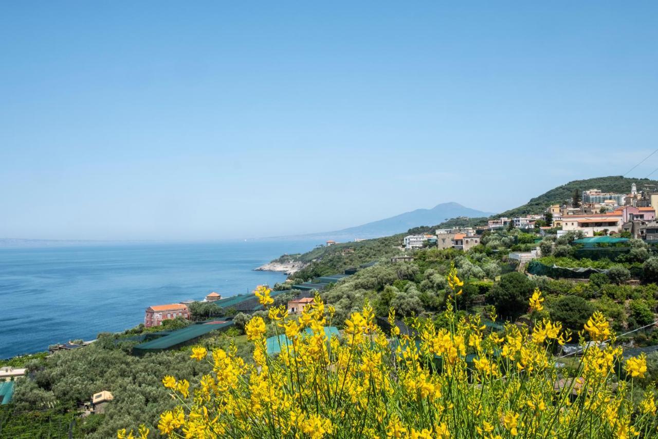 Neva Suites Massa Lubrense Sorrento Coast Екстериор снимка